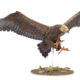 Showcase: Great Eagle from the Hobbit
