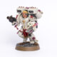 Showcase: Blood Angels Sanguinary Priest