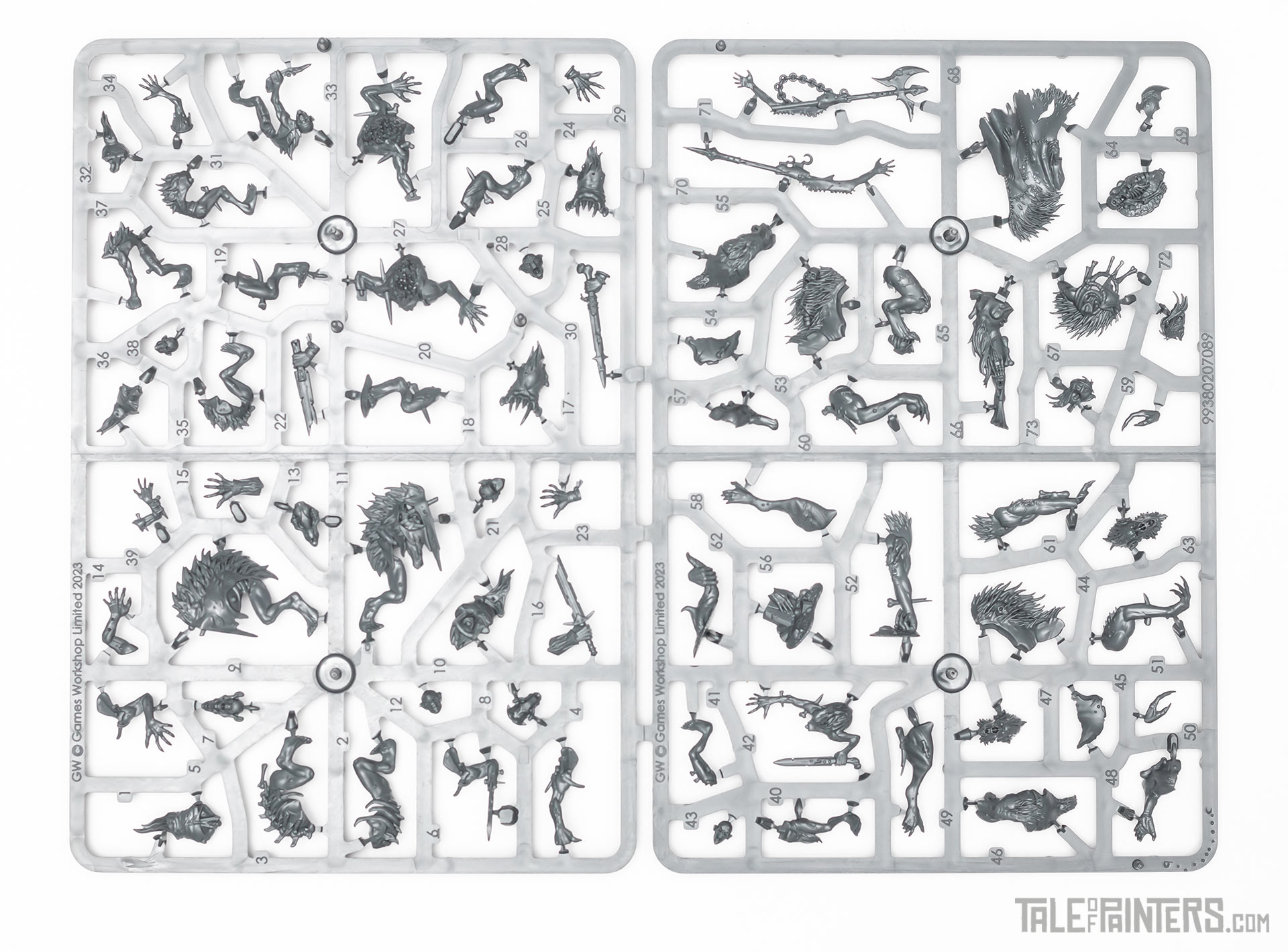 Royal Beastflayers sprues from Warcry Nightmare Quest