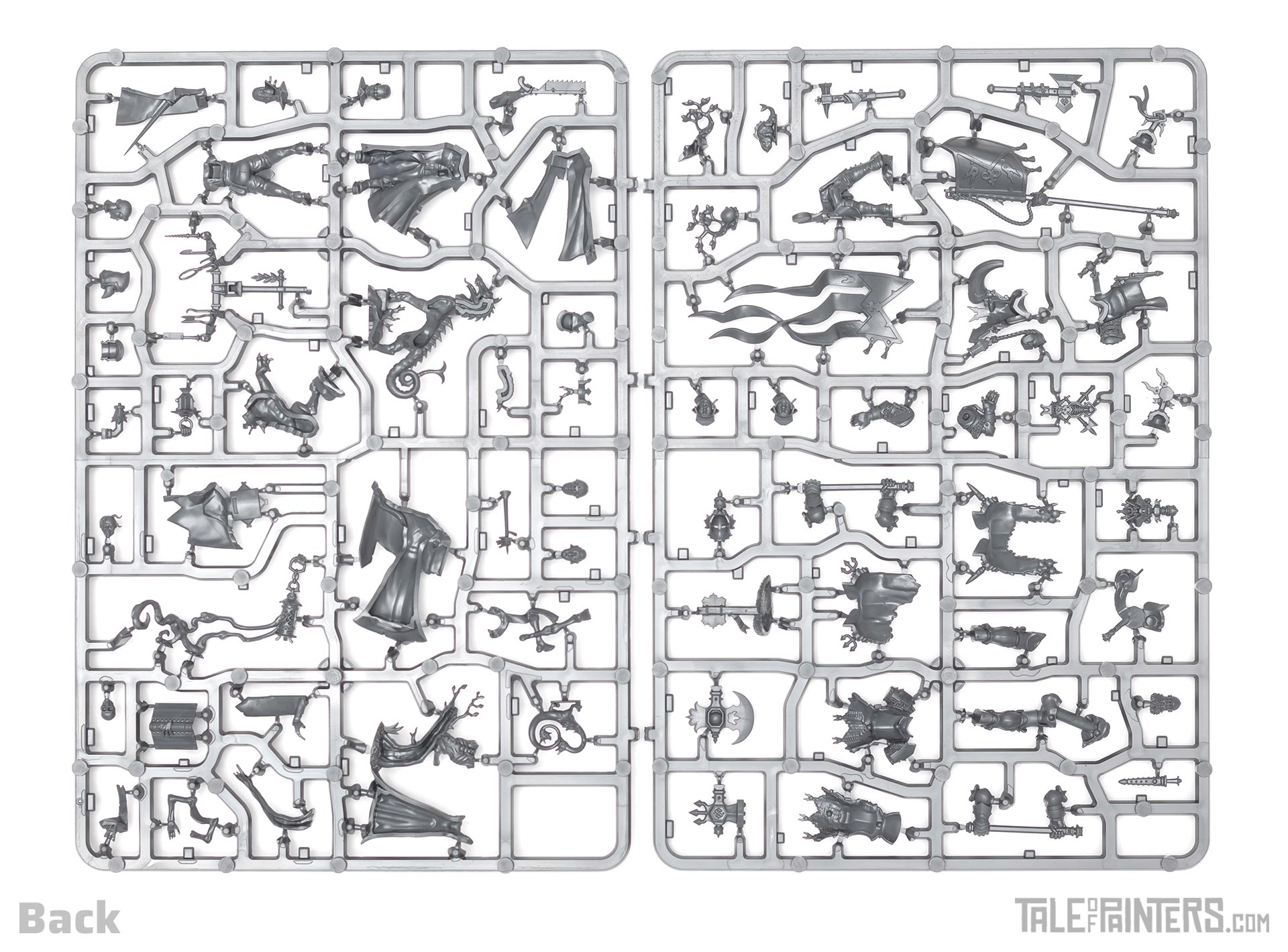 Cities of Sigmar Freeguild Command Corps sprues back