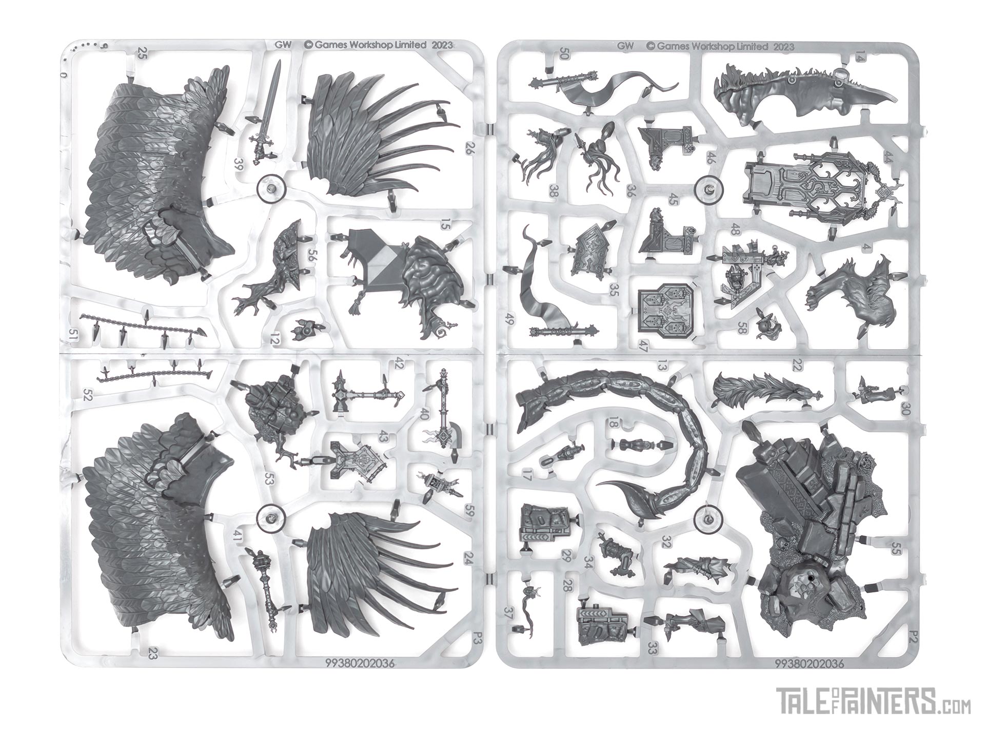 Cities of Sigmar Tahlia Vedra sprues 1 and 2
