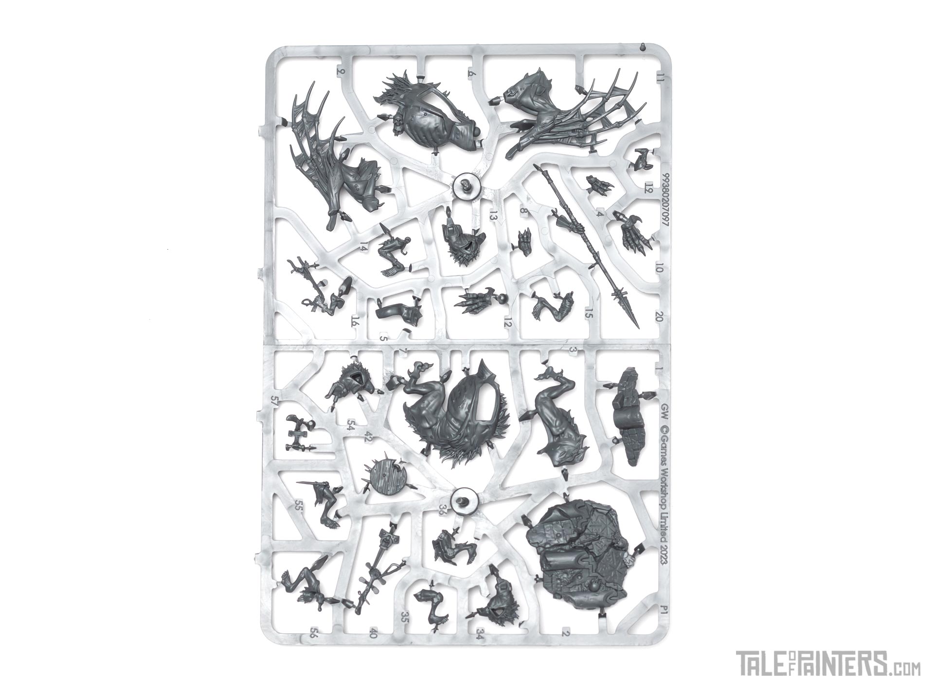 Flesh-eater Courts army set review Morbheg Knights sprue 3