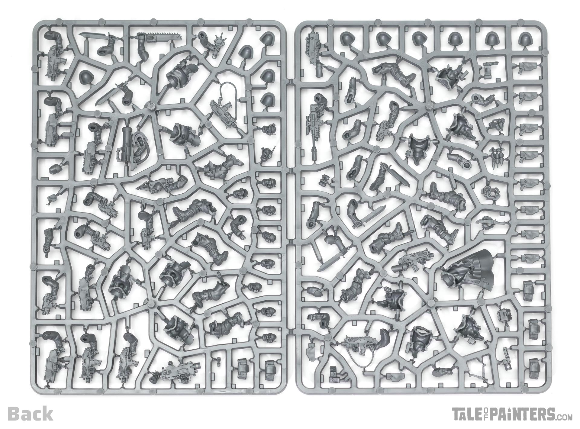 Primaris Space Marines Scouts sprues from Kill Team: Salvation review, back view