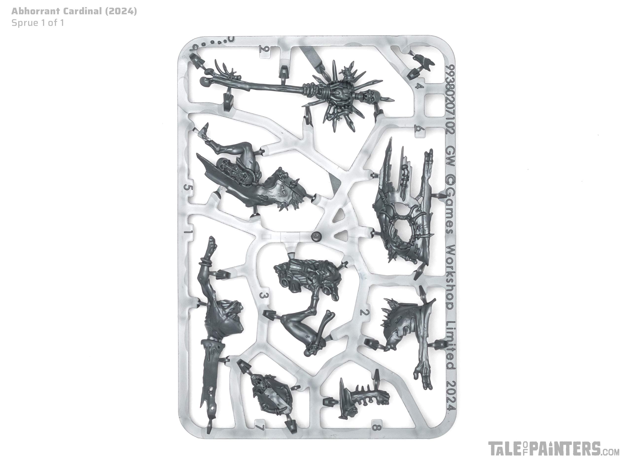 Flesh-eater Courts Abhorrant Cardinal sprue review