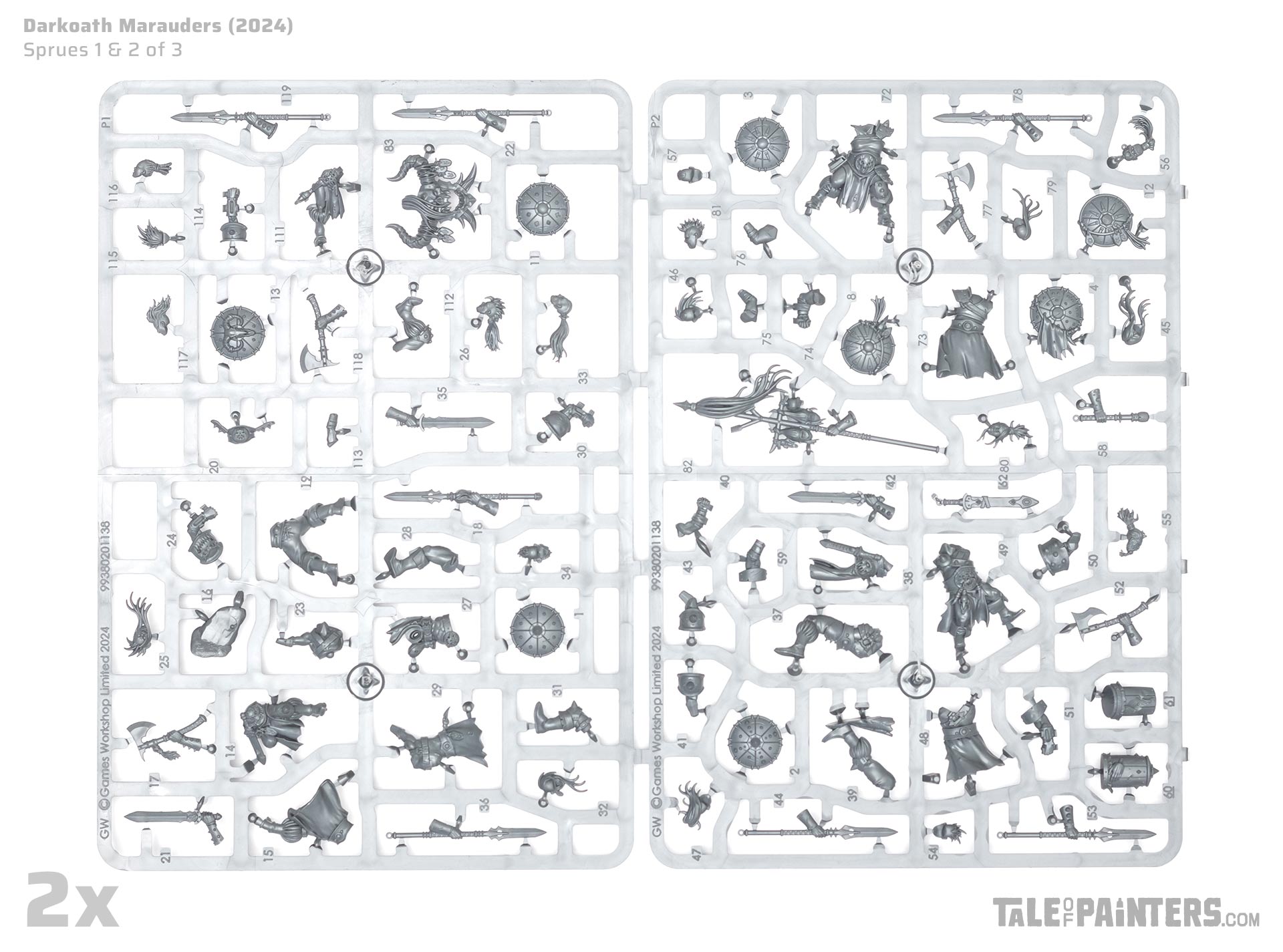 Darkoath Marauders sprues 1 and 2 review