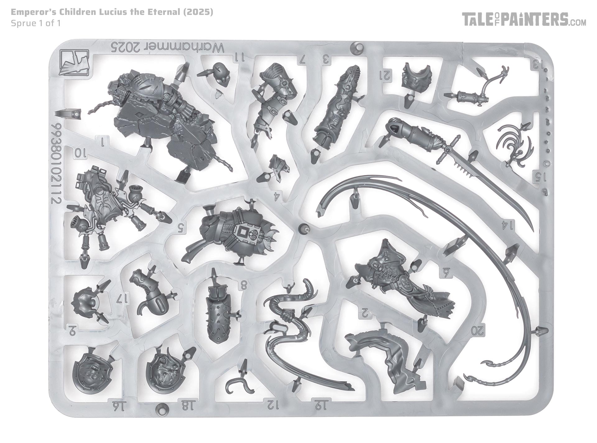 Lucius the Eternal sprue on a clean white background, photographed for review purposes