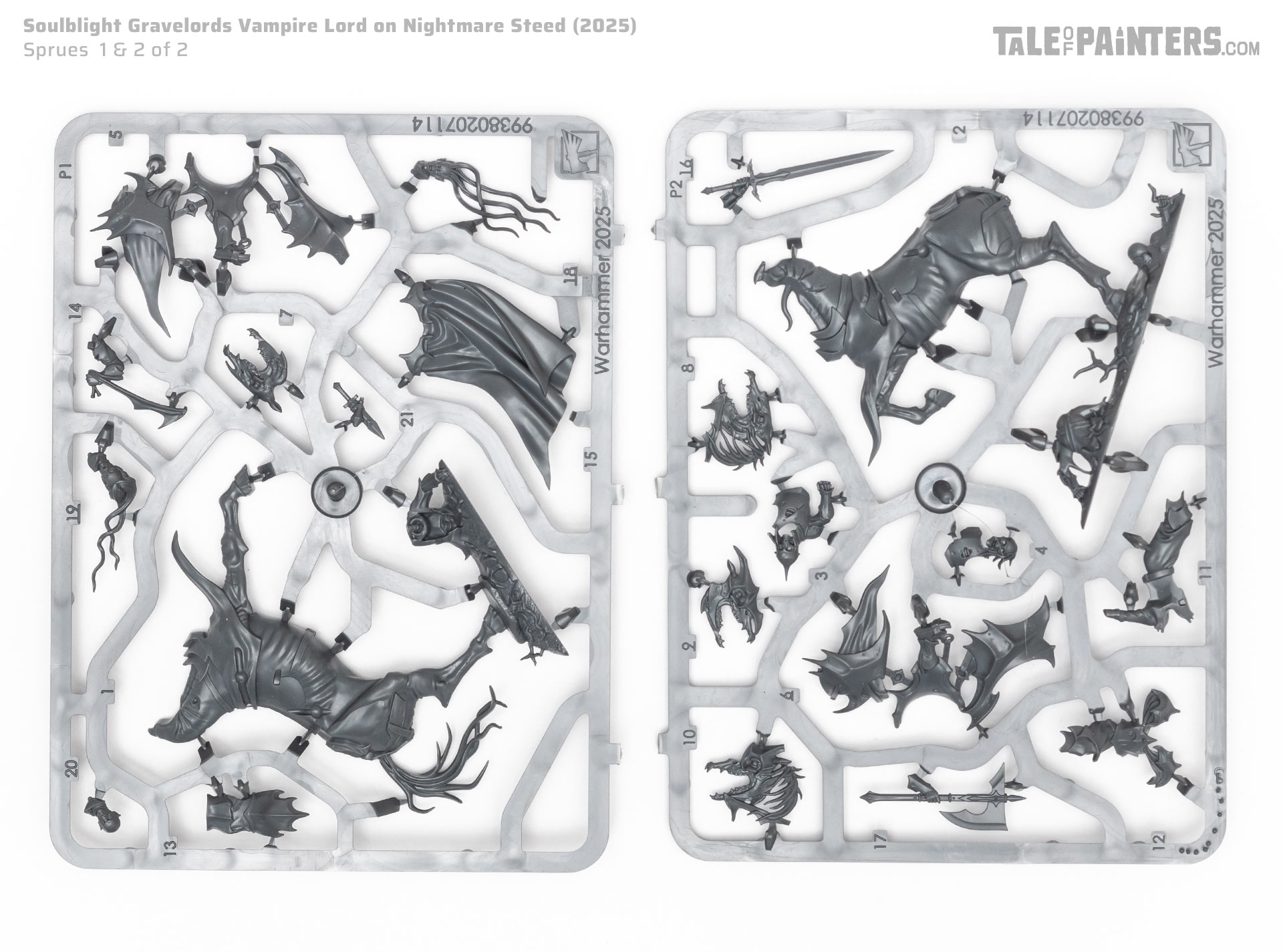 Soulblight Gravelords Vampire Lord on Nightmare Steed sprues on a clean white background