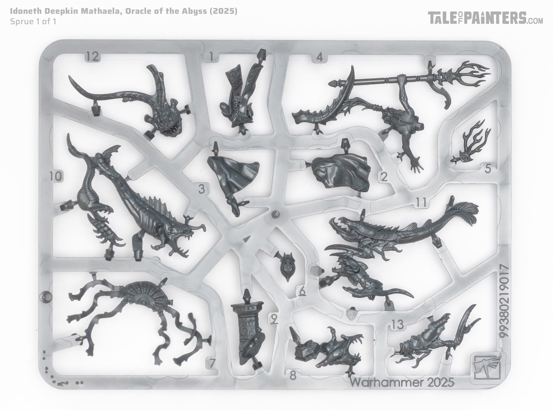 Idoneth Deepkin Mathaela, Oracle of the Abyss sprue on a clean white background, photographed for an unboxing and review