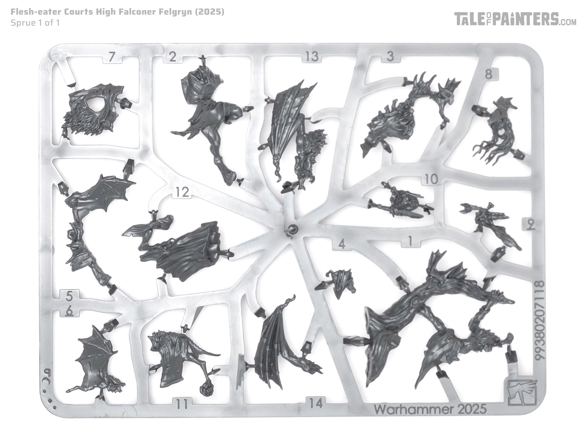 Flesh-eater Courts High Falconer Felgryn sprue on a white, clean background