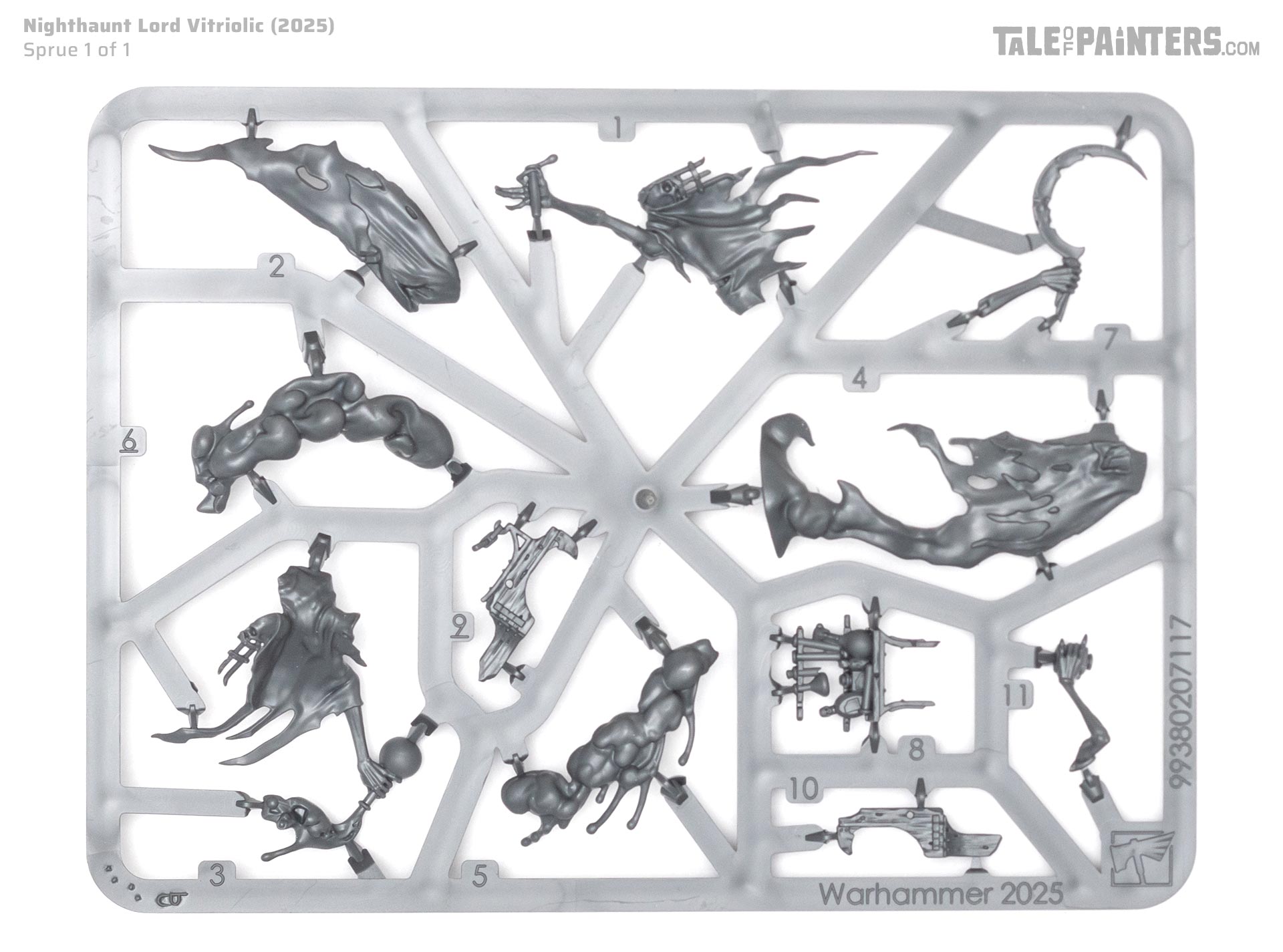 Nighthaunt Lord Vitriolic sprue on a white, clean background