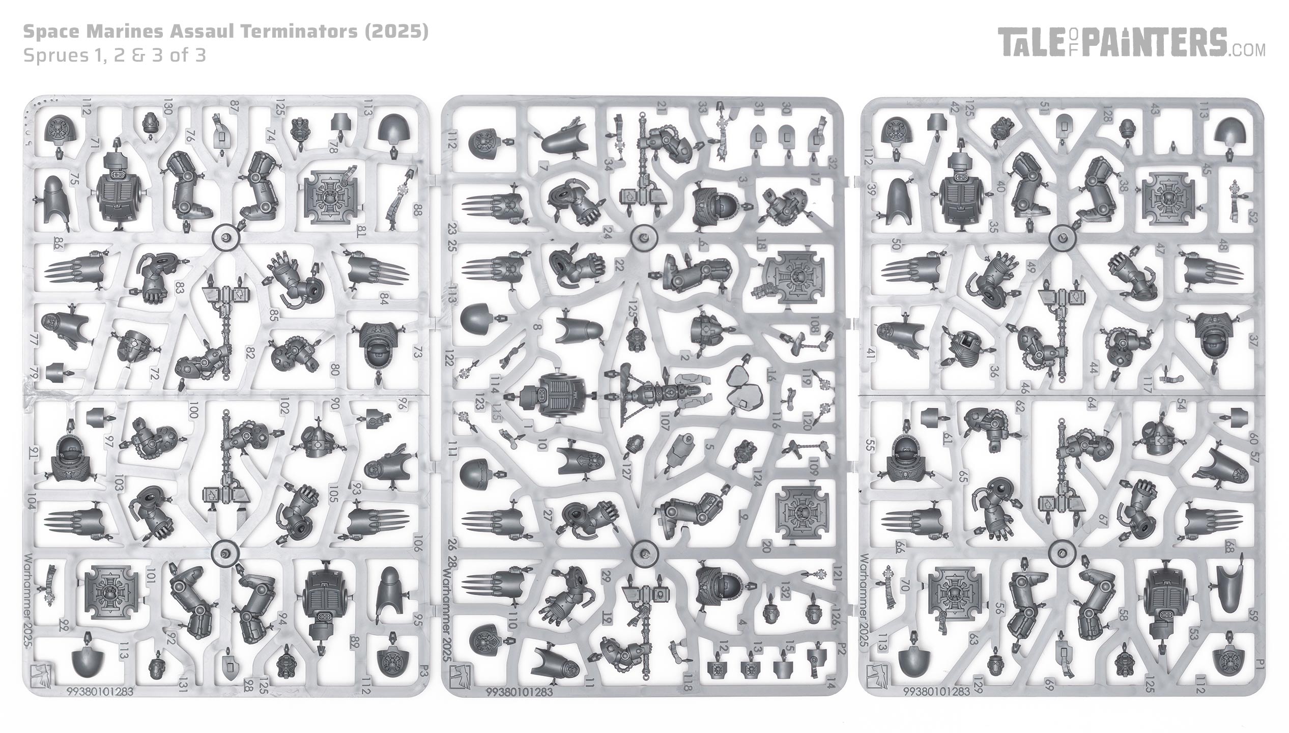 Space Marines Assault Terminators sprues (2025 version), on a white background