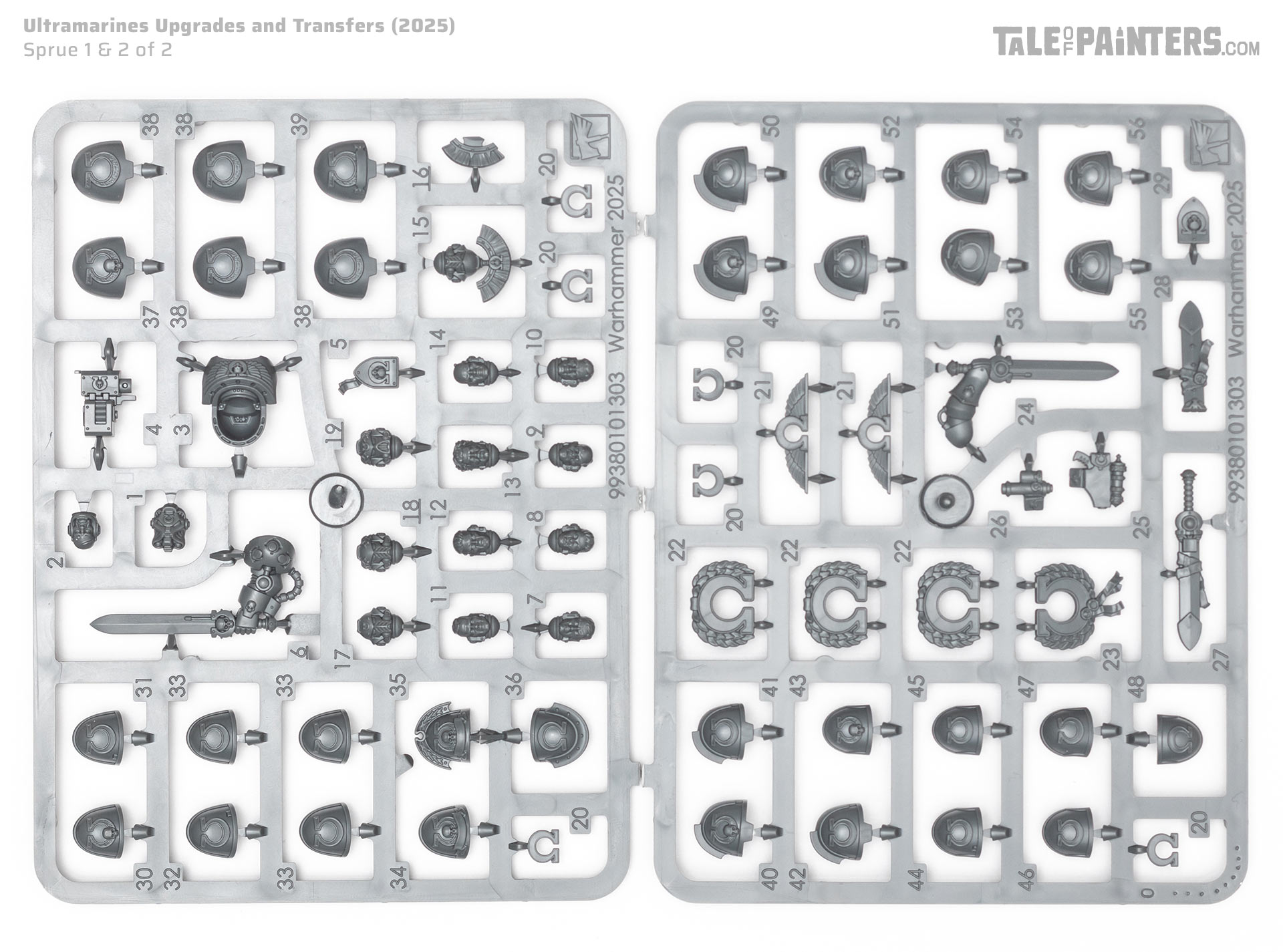 Ultramarines 2025 Upgrades and Transfers model kit sprue on white background