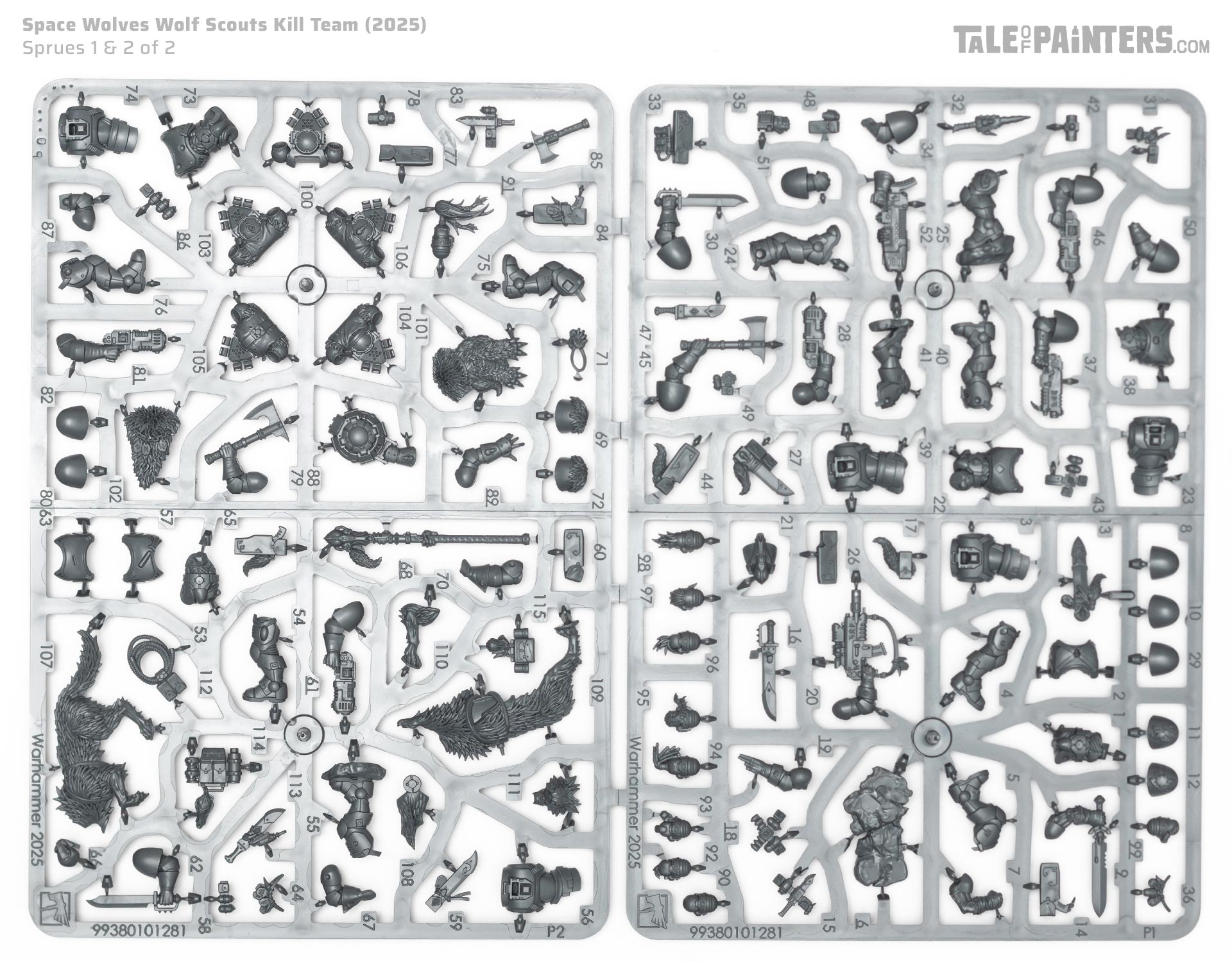 Space Wolves Wolf Scouts sprues photographed on a white background for a review and unboxing