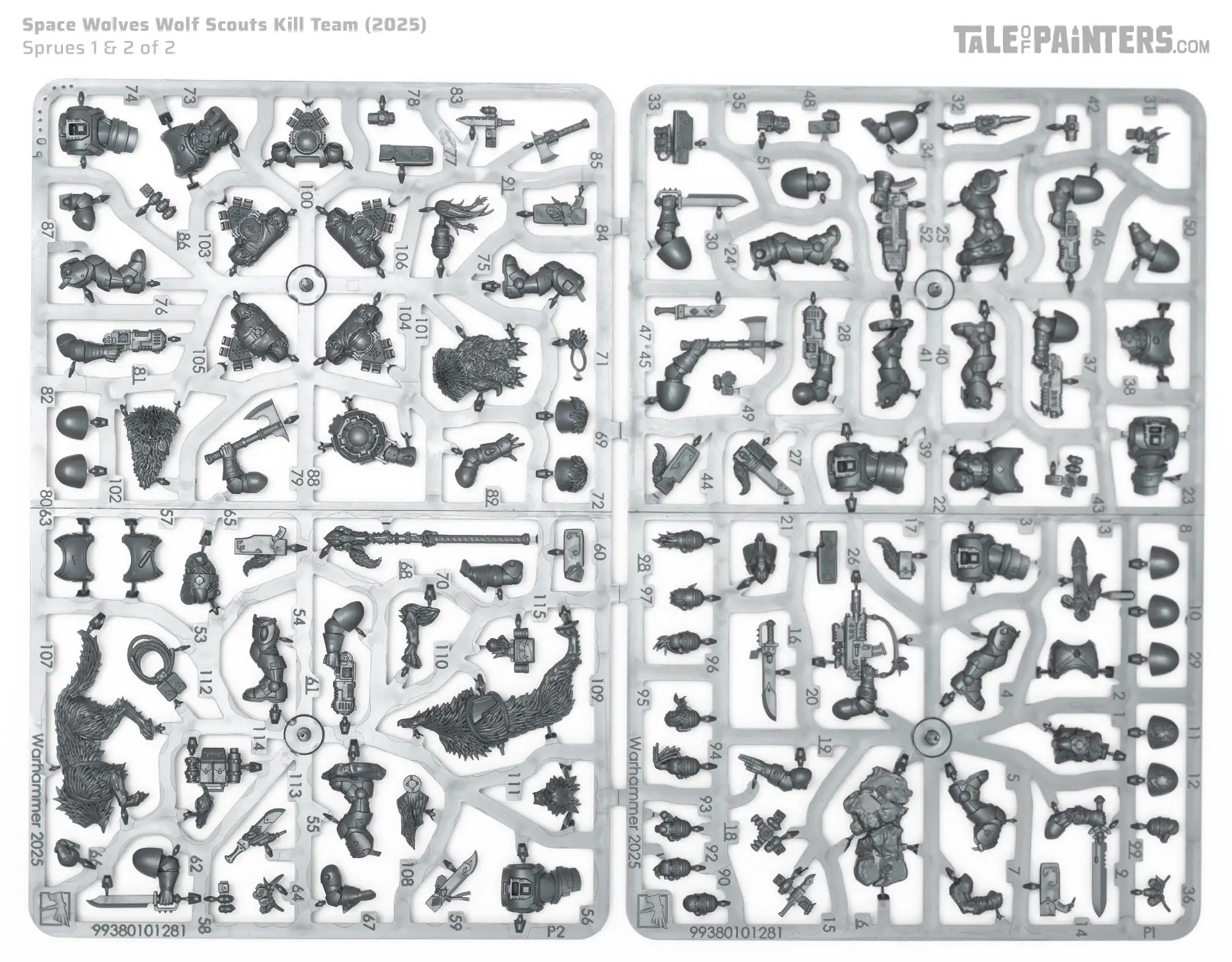 Kill_Team_Dead_Silence_review_Wolf_Scouts_sprues.jpg.webp
