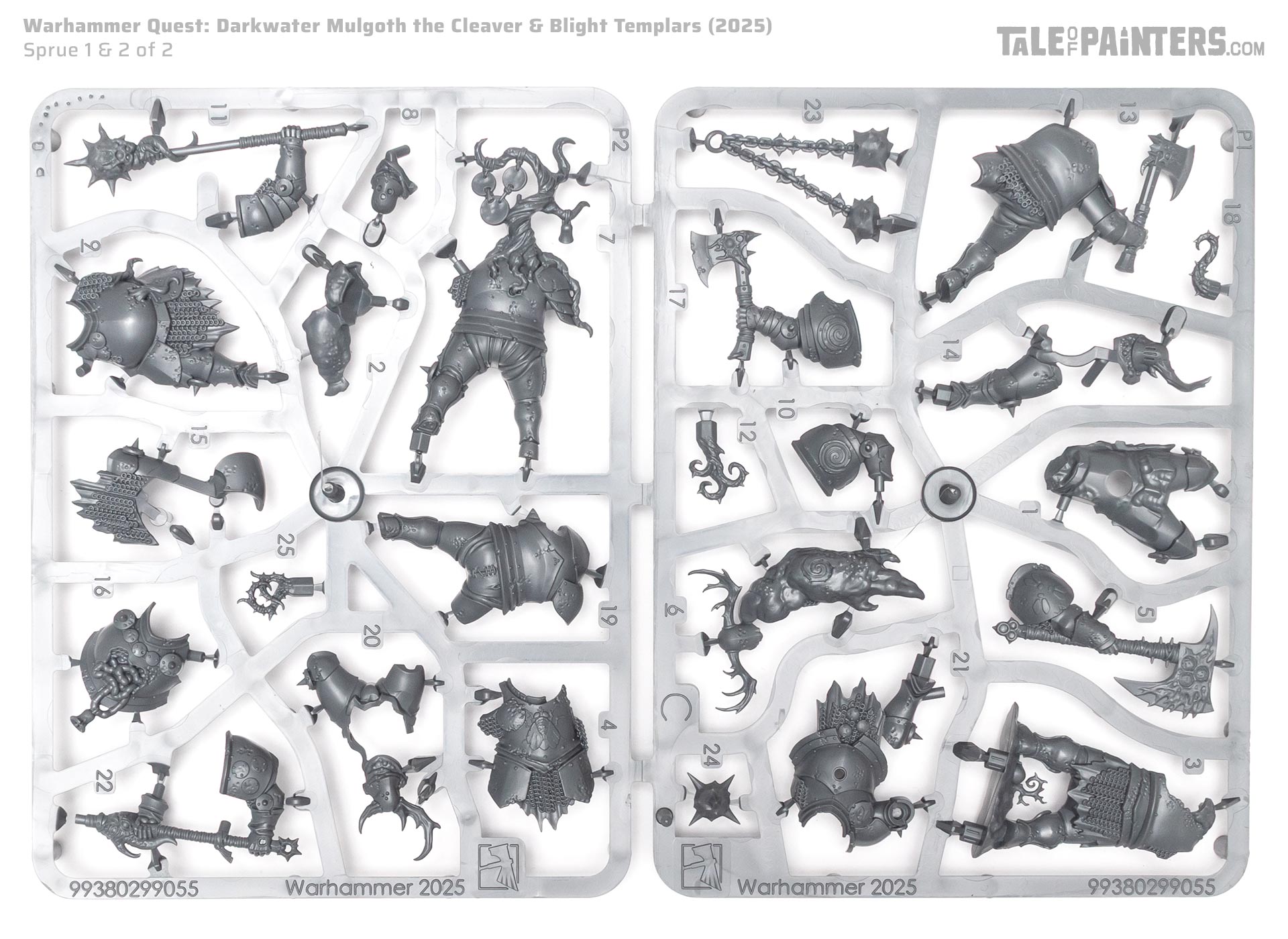 Warhammer Quest: Darkwater Blight Templars sprue, on a white background