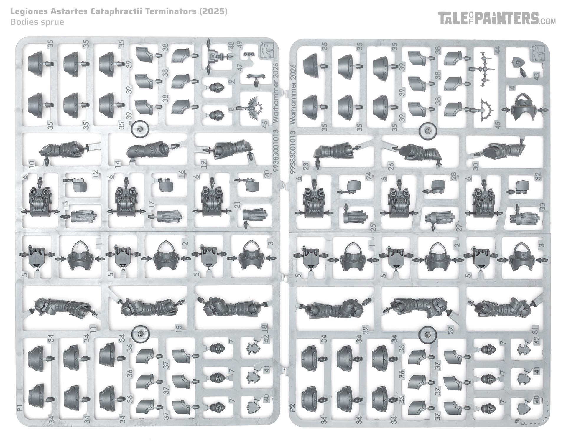 Horus Heresy Legiones Astartes new plastic 2026 Cataphractii Terminators sprue on white background