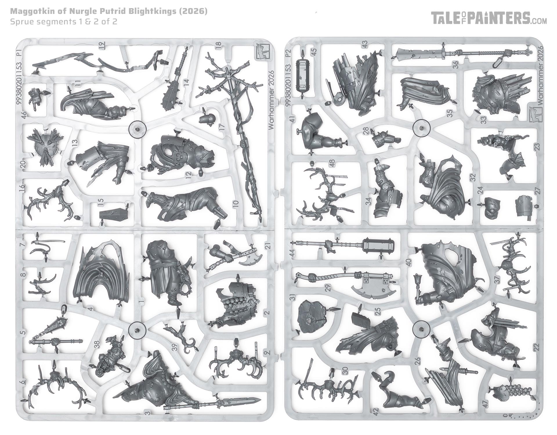 Maggotkin of Nurgle new 2026 Putrid Blightkings model sprues on a white background