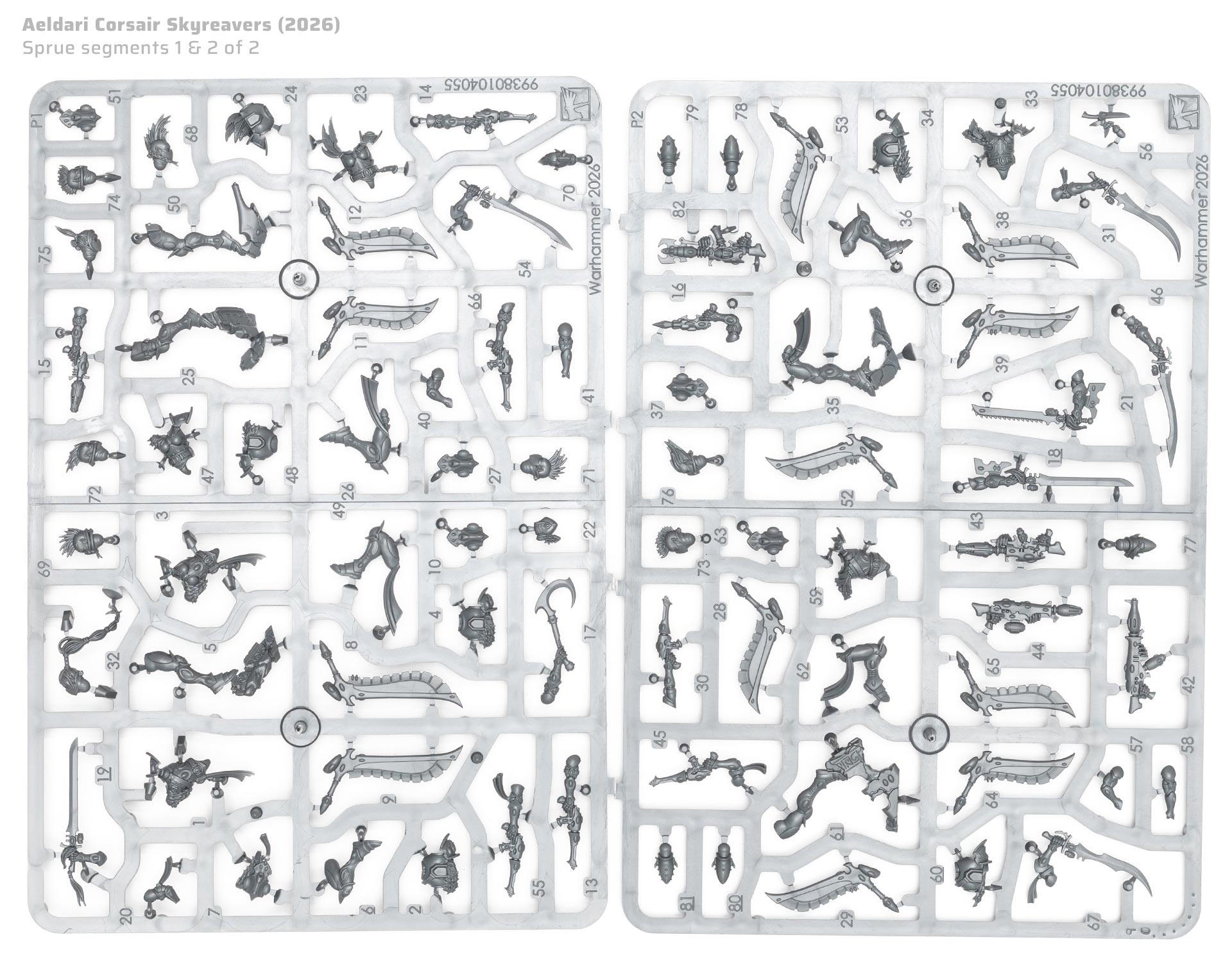 Aeldari Corsairs Skyreavers plastic model sprues, on white background