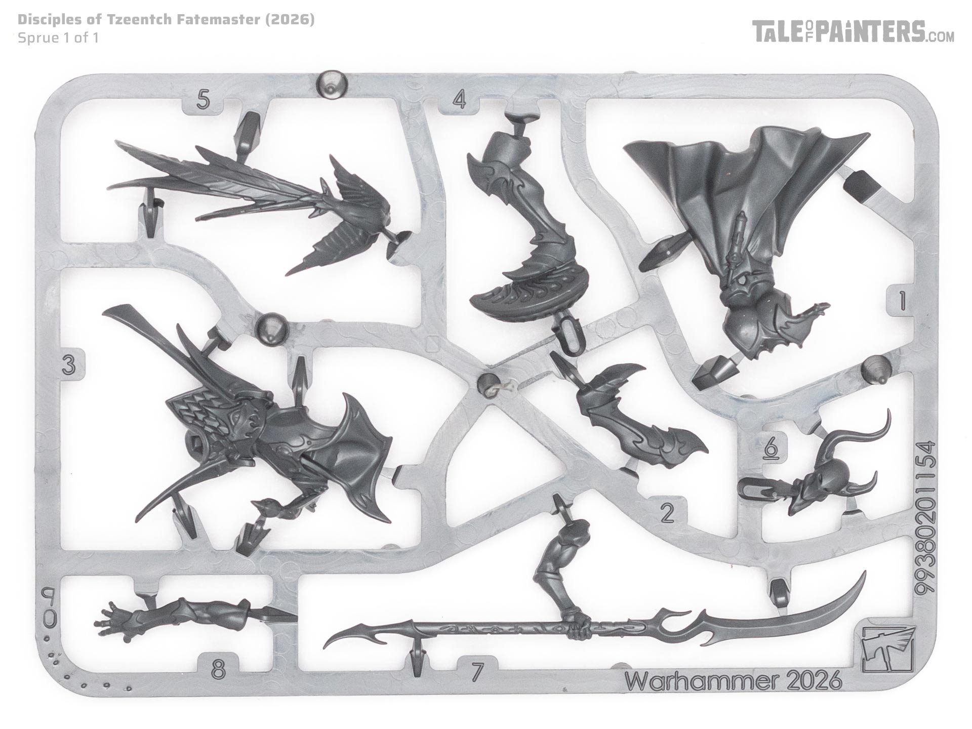 Disciples of Tzeentch Fatemaster model sprue, on white background