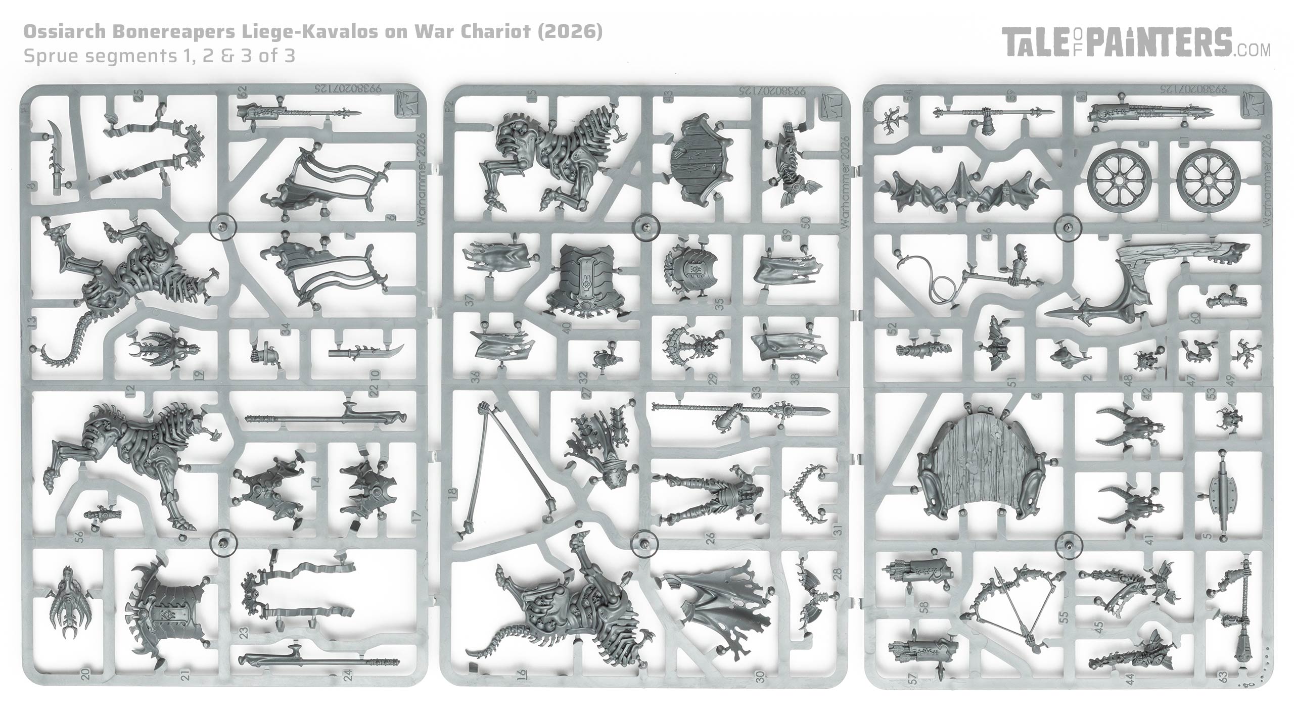 Ossiarch Bonereapers Liege-Kavalos on War Chariot plastic model sprue, on white background