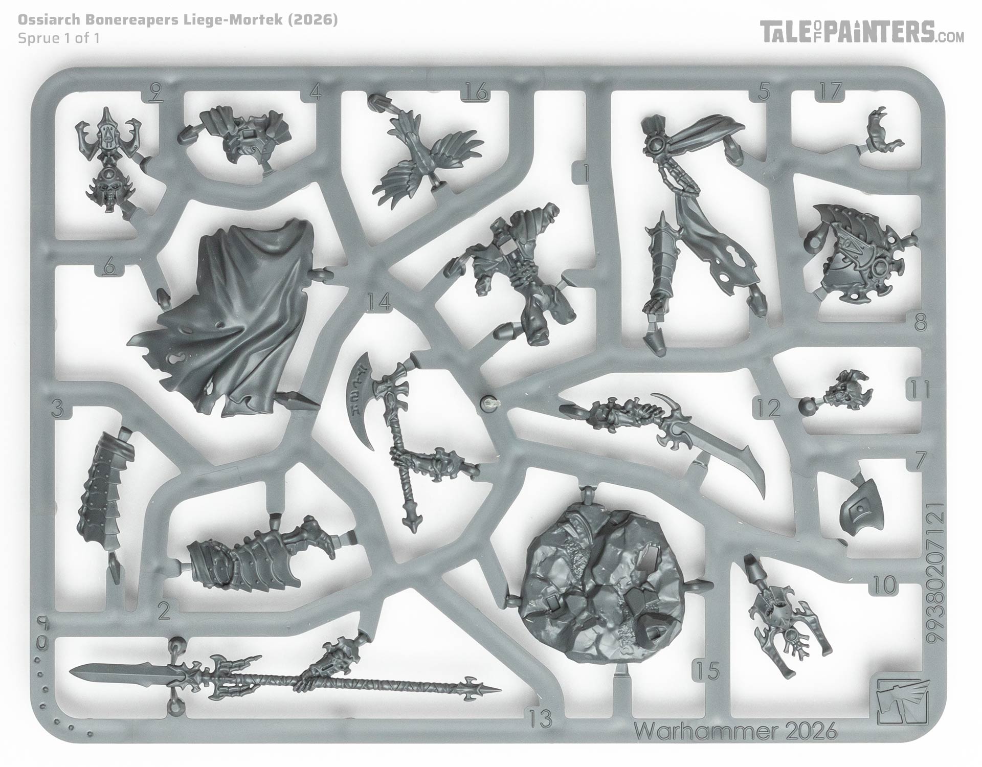 Ossiarch Bonereapers Liege-Mortek plastic model sprue, on white background