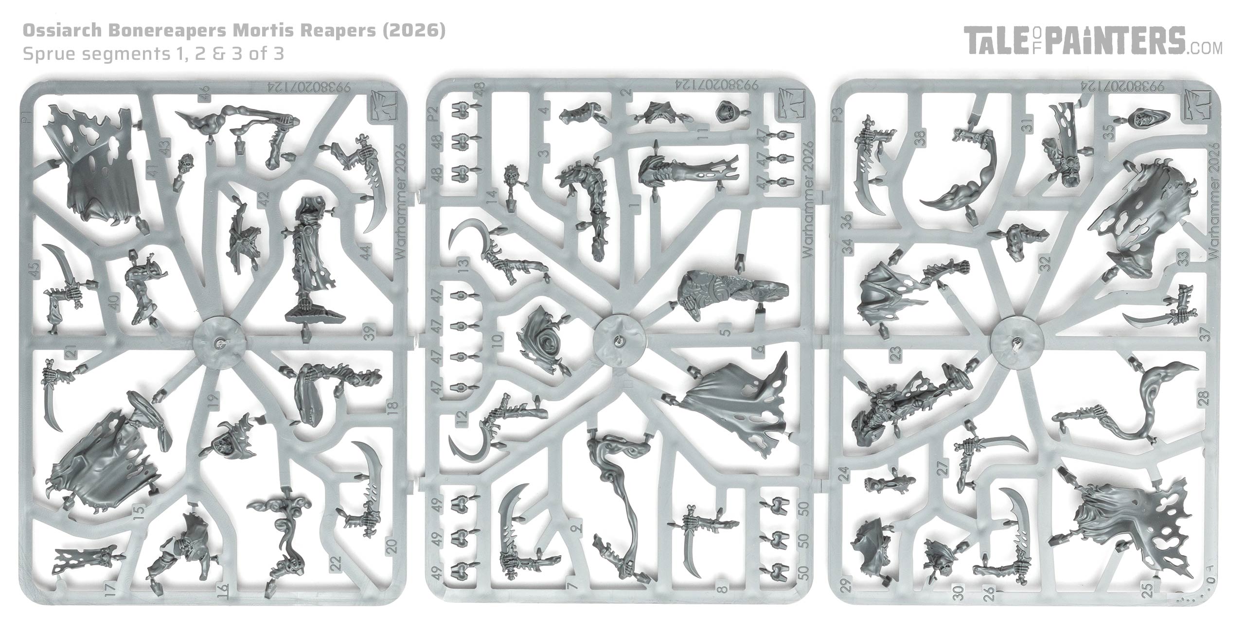 Ossiarch Bonereapers Mortis Reapers plastic model sprues, on white background