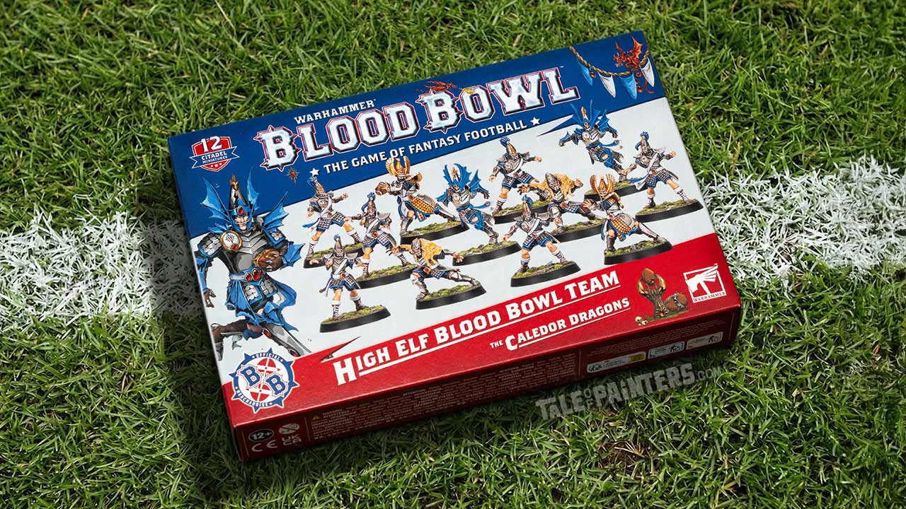 High Elf Blood Bowl team "The Caledor Dragons" model kit box arranged on a green grass football field background