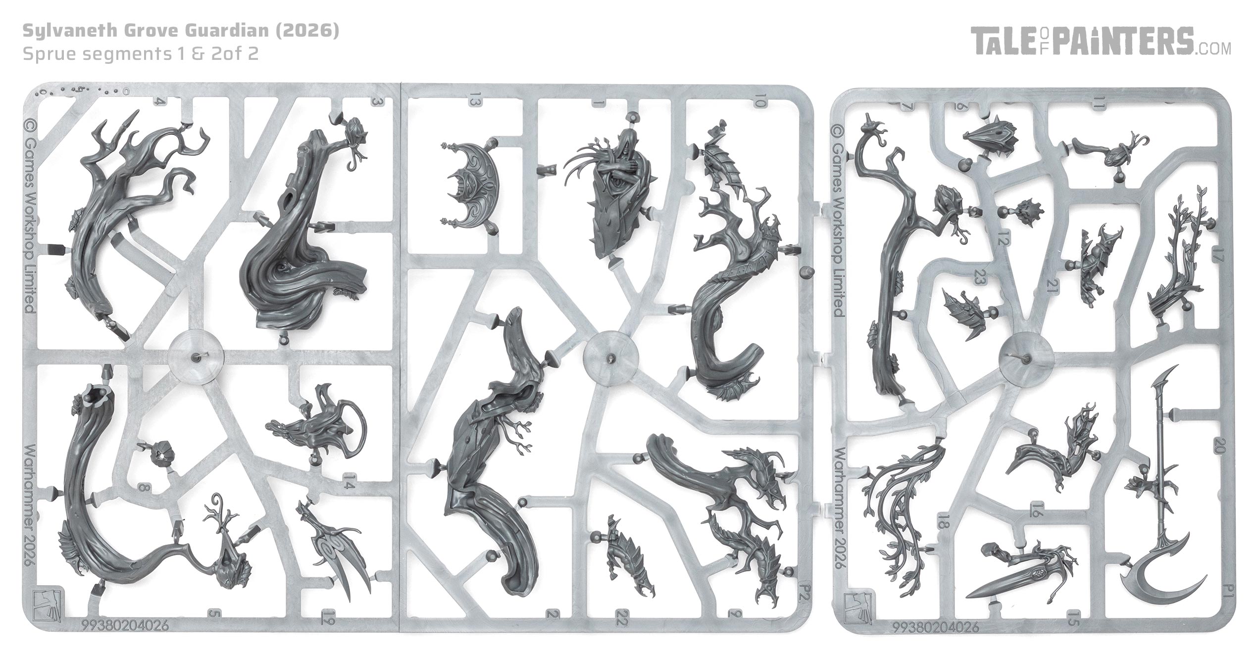 Sylvaneth Grove Guardian plastic model sprues, on white background