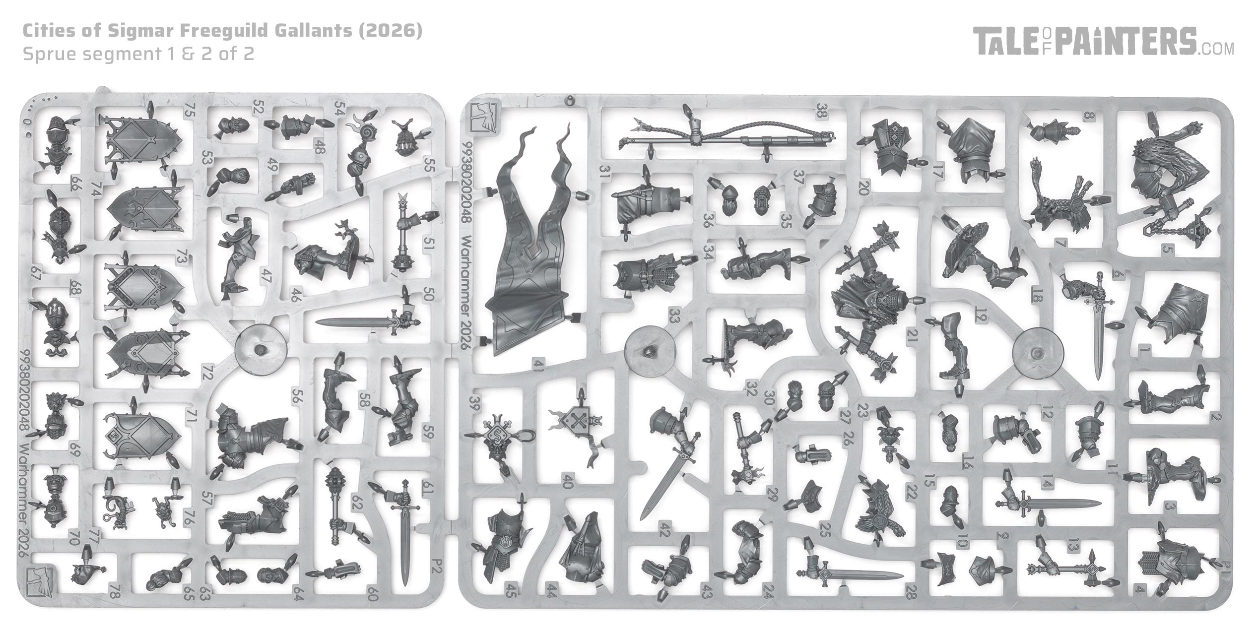 Freeguild Gallants sprue on white background, a miniature kit for the Cities of Sigmar faction from Warhammer Age of Sigmar