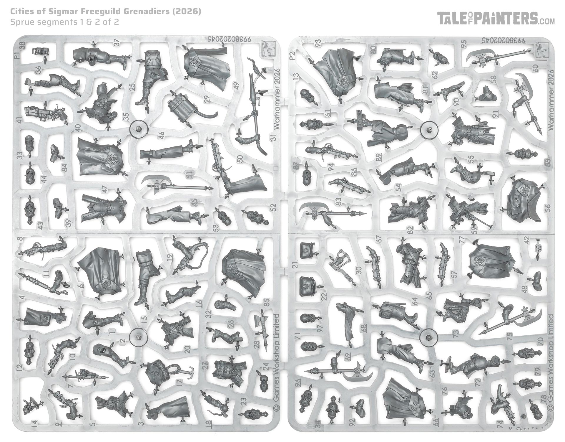 Freeguild Grenadiers sprue on white background, a miniature kit for the Cities of Sigmar faction from Warhammer Age of Sigmar